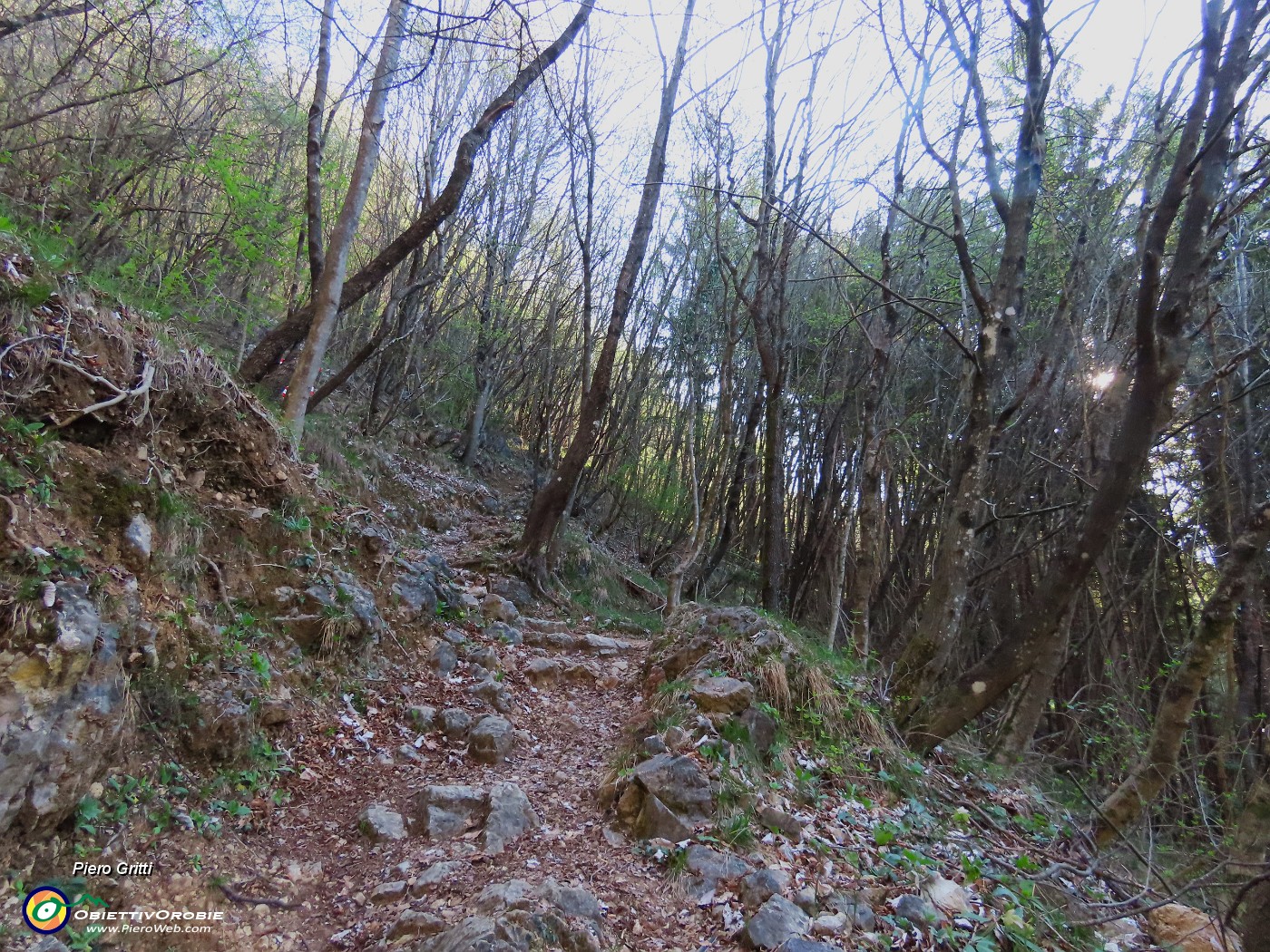 15 Al primo bivio prendo a dx il sent. 594A per raggiungere il sentiero 597.JPG